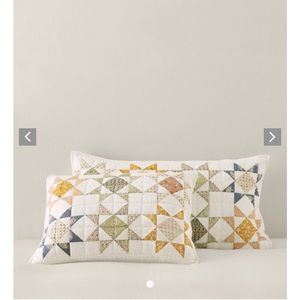 🌨️Garnet Hill Arianne King Shams (set of 2)